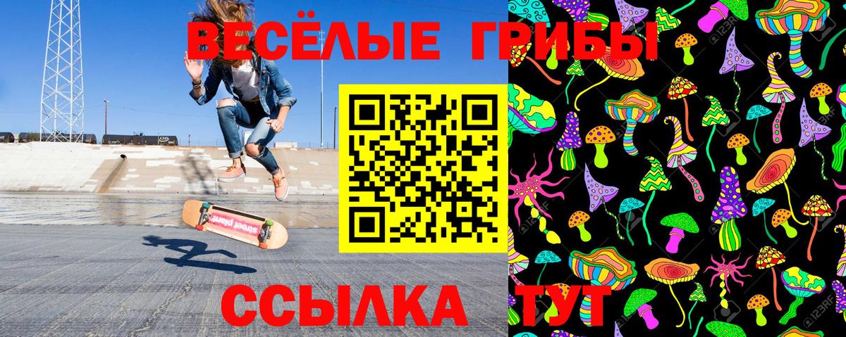 Галлюциногенные грибы прущие грибы Славянск-на-Кубани