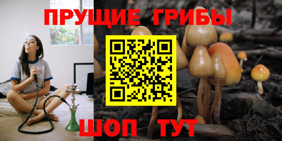 Славянск-на-Кубани  Галлюциногенные грибы Psilocybine cubensis  Вход с VPN 